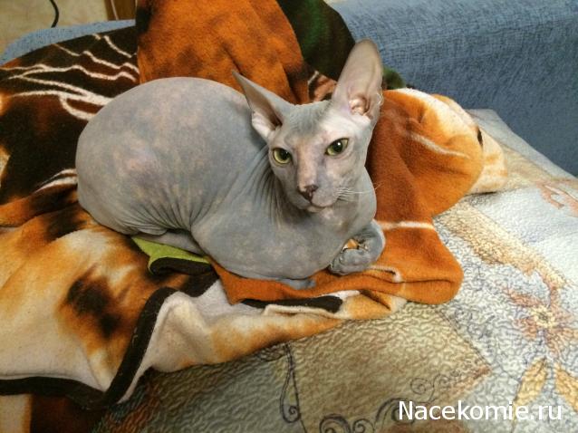 "Живой уголок"