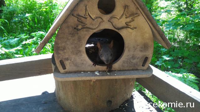 Мой любимый город или дорогие сердцу места