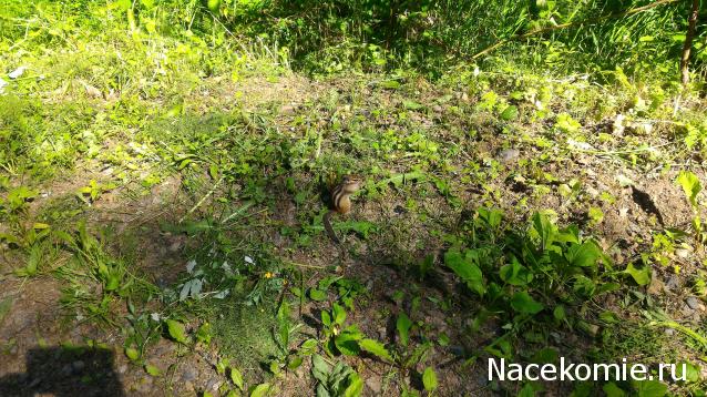 Мой любимый город или дорогие сердцу места