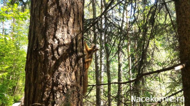 Мой любимый город или дорогие сердцу места