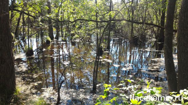 Мой любимый город или дорогие сердцу места