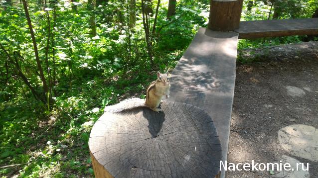 Мой любимый город или дорогие сердцу места