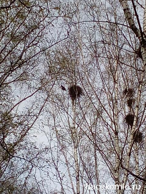 Мой любимый город или дорогие сердцу места