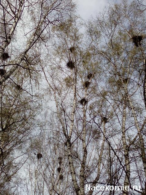 Мой любимый город или дорогие сердцу места