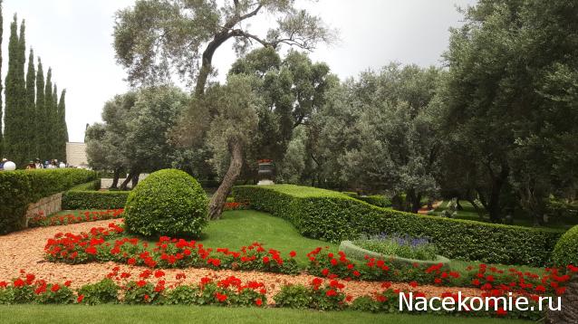 Наши Дни Рождения