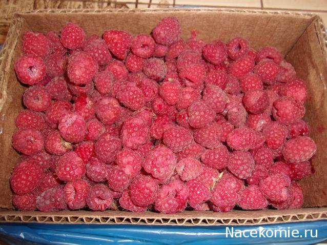 Кулинарный отдел