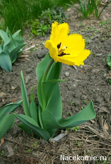 "Живой уголок"