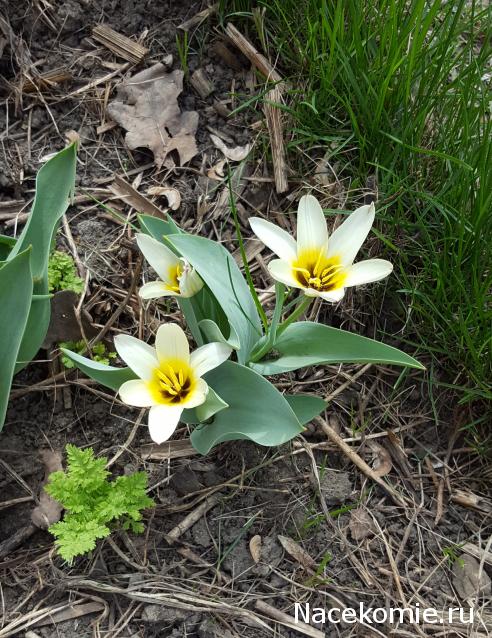 "Живой уголок"