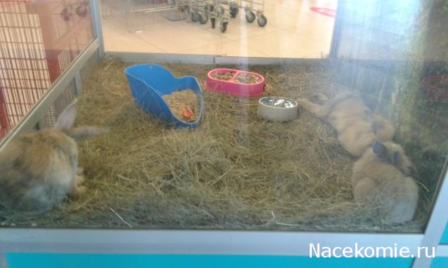 "Живой уголок"