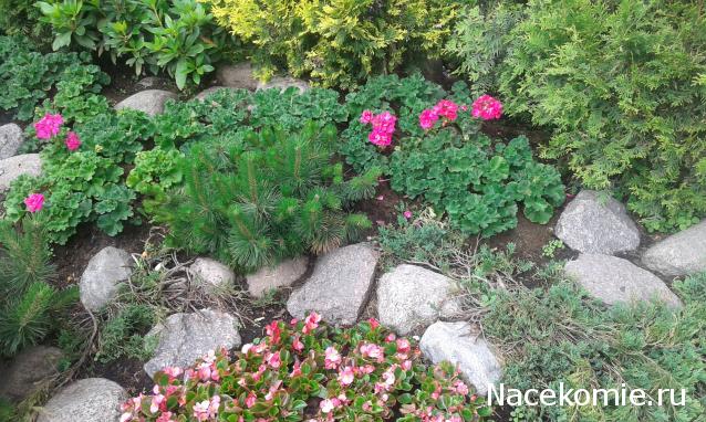 "Живой уголок"