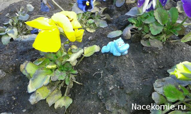 Миниатюрные чудеса и интересности