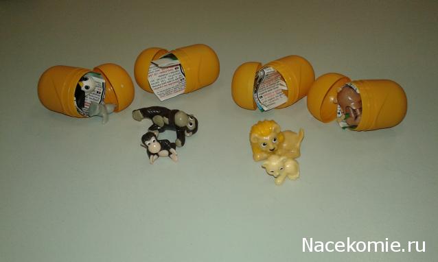 "Живой уголок"