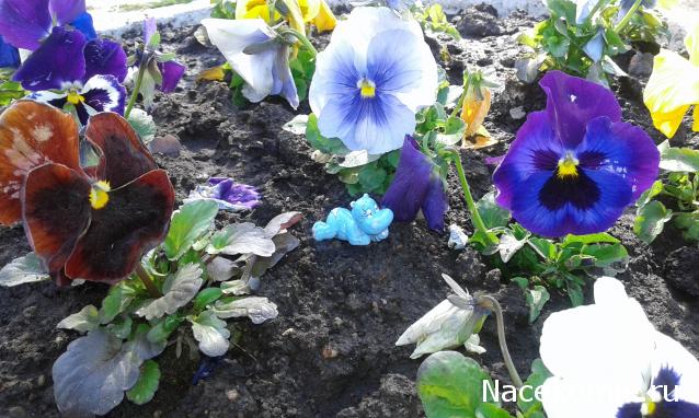 Миниатюрные чудеса и интересности