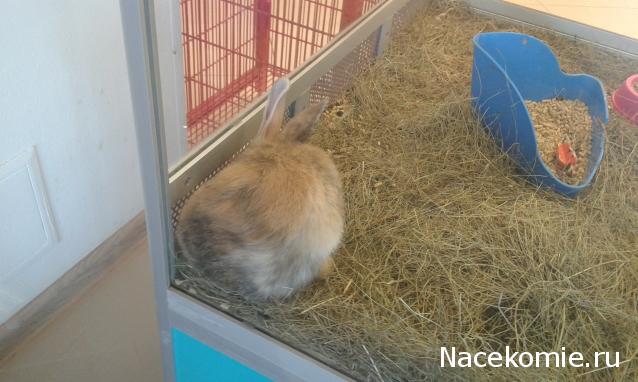 "Живой уголок"