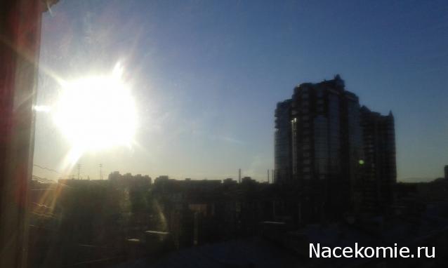 "Живой уголок"