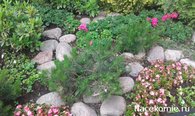 "Живой уголок"