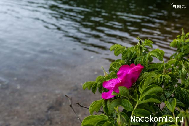 Мой любимый город или дорогие сердцу места