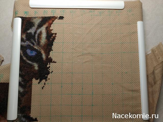 100 крестиков!