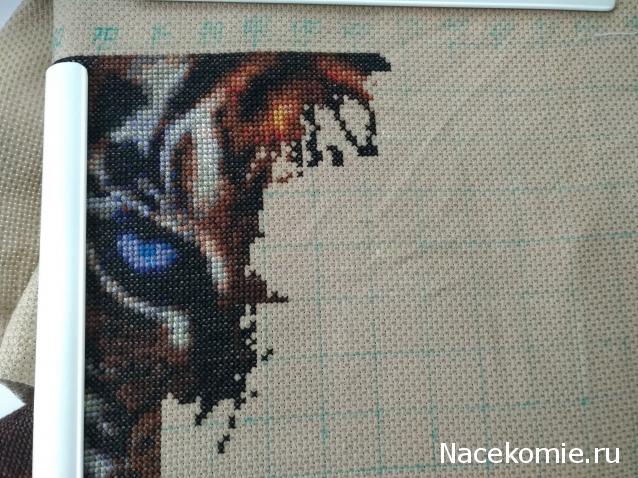 100 крестиков!