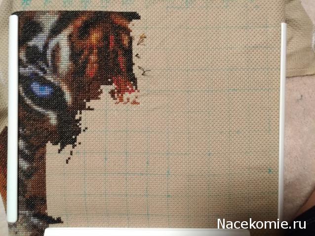 100 крестиков!