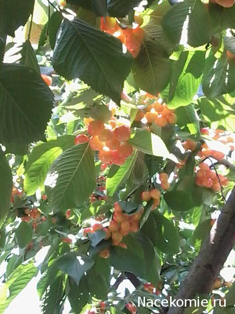 Куклы в народных костюмах – "Девчушки-болтушки"