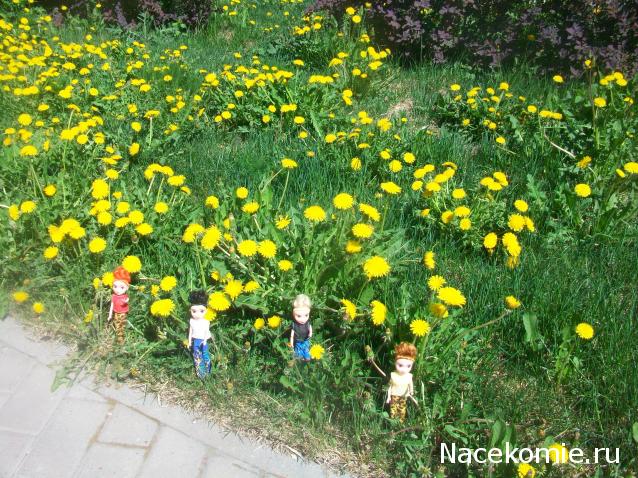 mirumir - Ваня, Валя, Вася