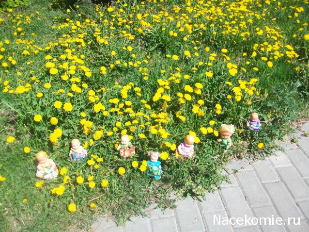 mirumir - Ваня, Валя, Вася