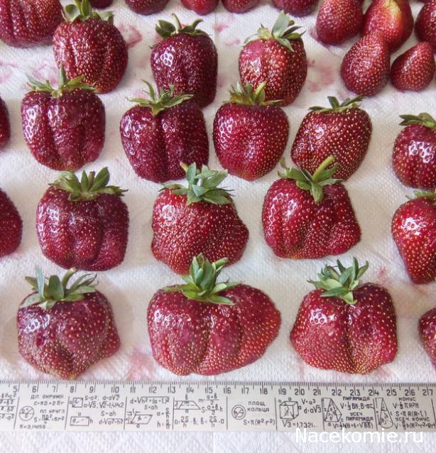 Кулинарный отдел