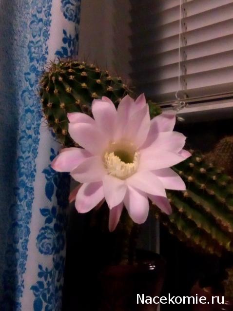 "Живой уголок"