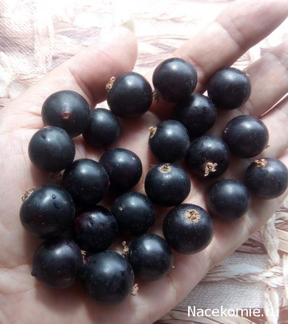 Кулинарный отдел