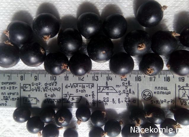 Кулинарный отдел