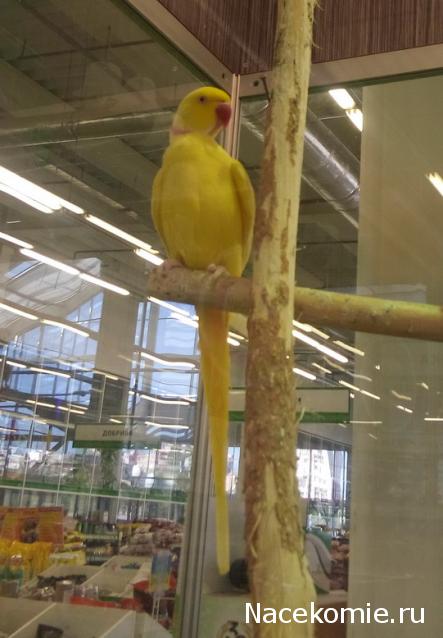 "Живой уголок"