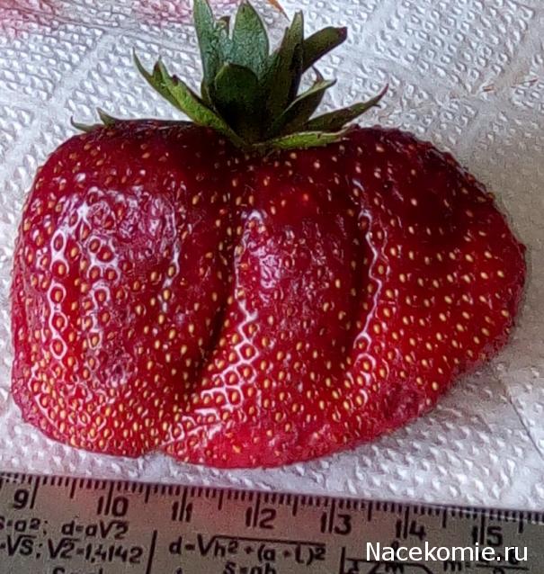 Кулинарный отдел