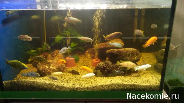 "Живой уголок"