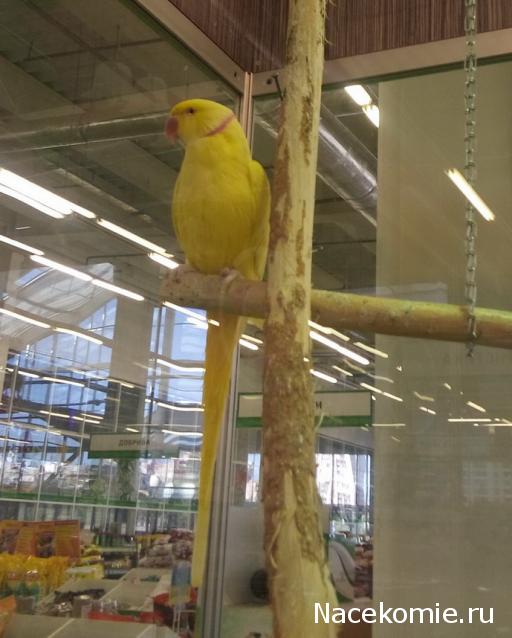 "Живой уголок"