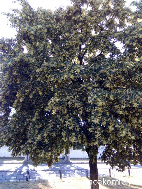 "Живой уголок"