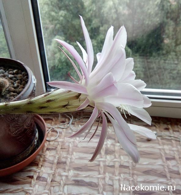 "Живой уголок"