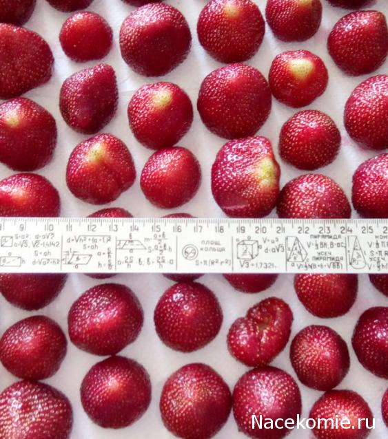 Кулинарный отдел