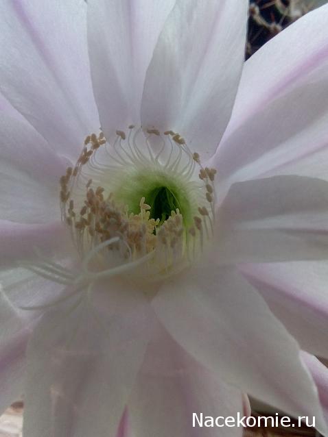 "Живой уголок"