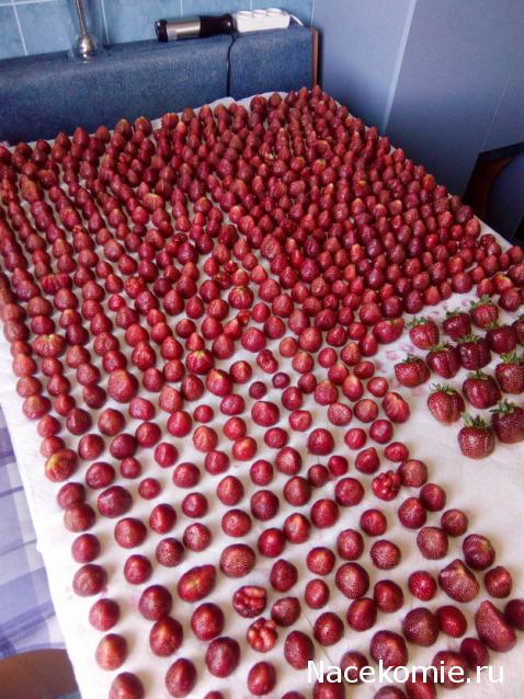 Кулинарный отдел