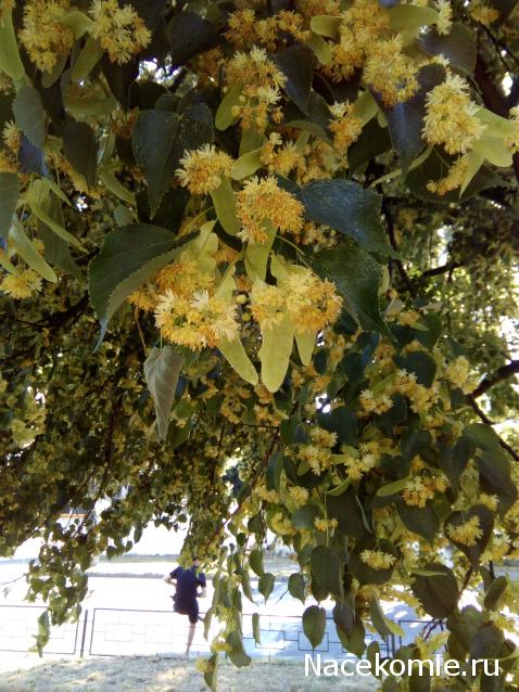 "Живой уголок"