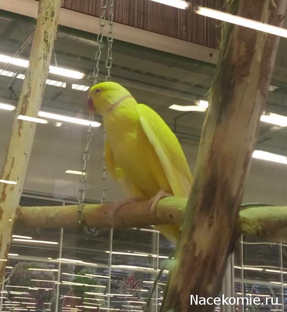 "Живой уголок"