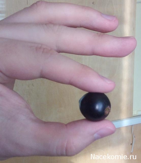 Кулинарный отдел