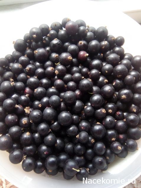 Кулинарный отдел