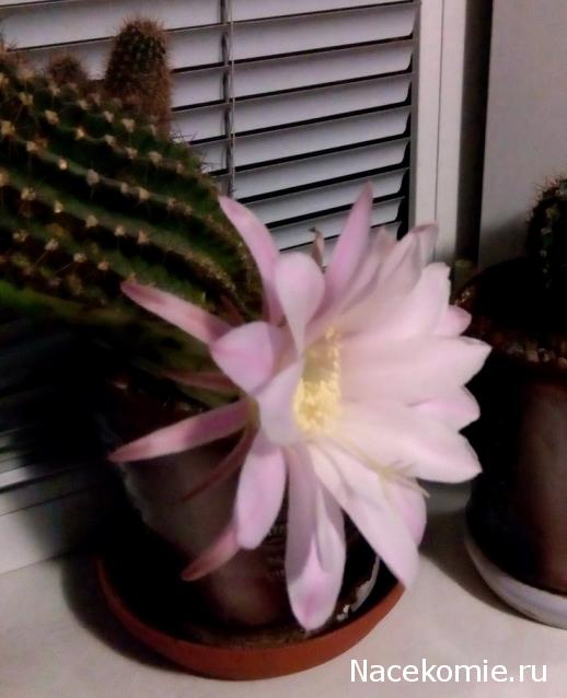 "Живой уголок"