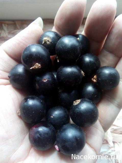 Кулинарный отдел