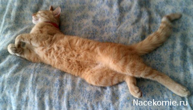 Eva1949 - Дом мечты-души моей воспоминания; 1Abrikoska - Мой гостеприимный дом