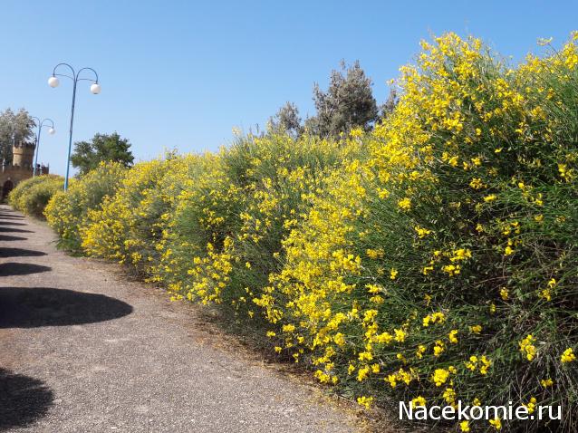 "Живой уголок"