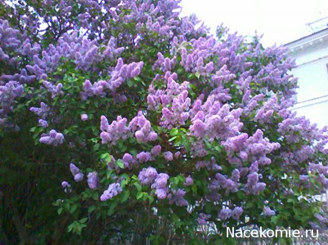 "Живой уголок"