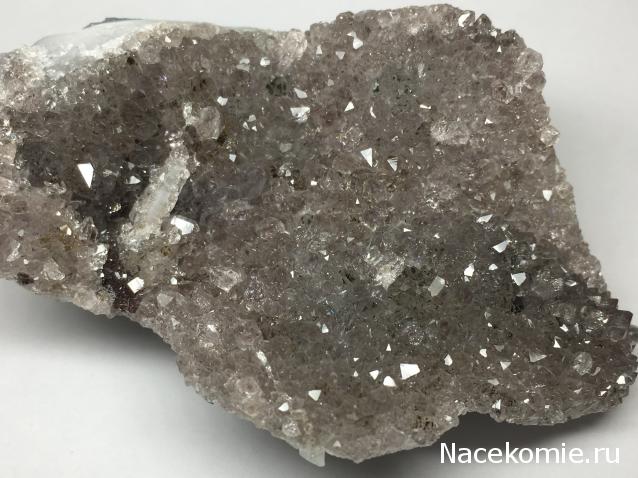 Компания кладоискателей. Болталка форума Минералов